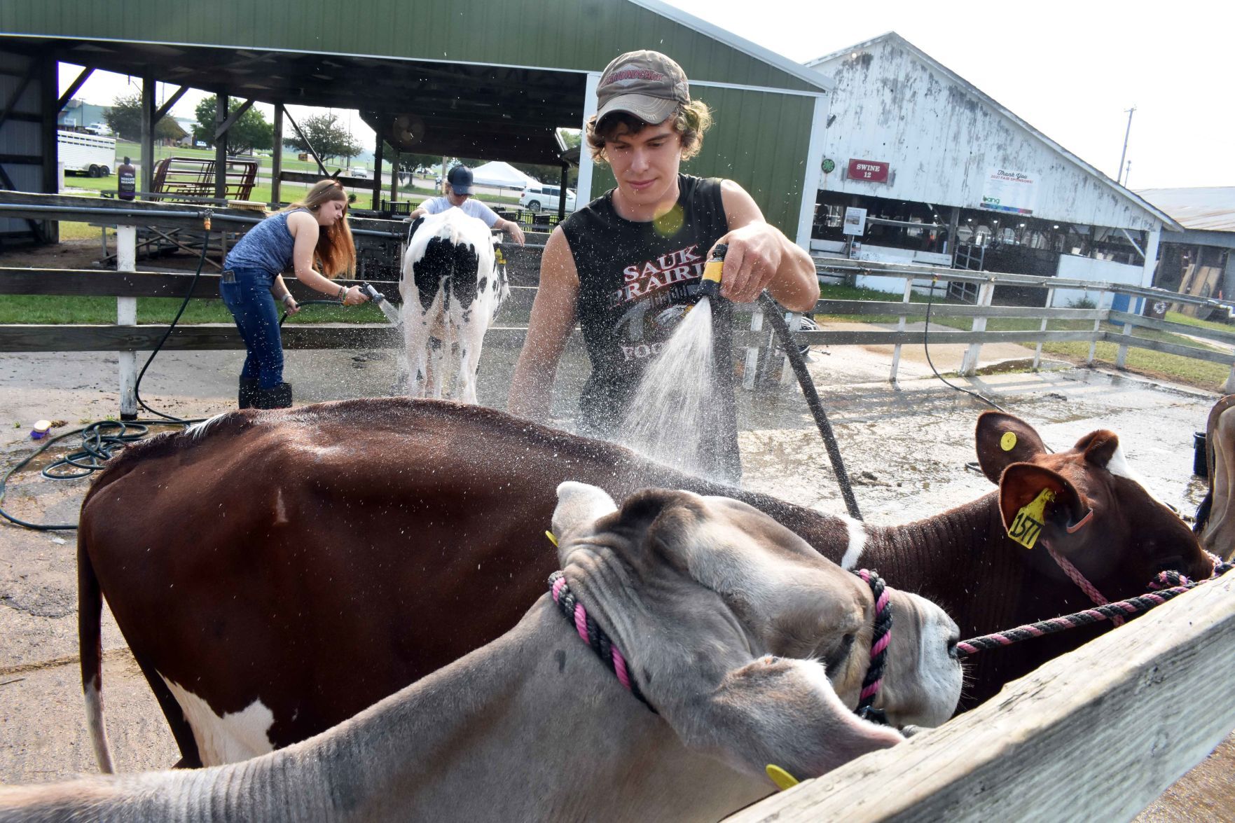 Sauk County Fair